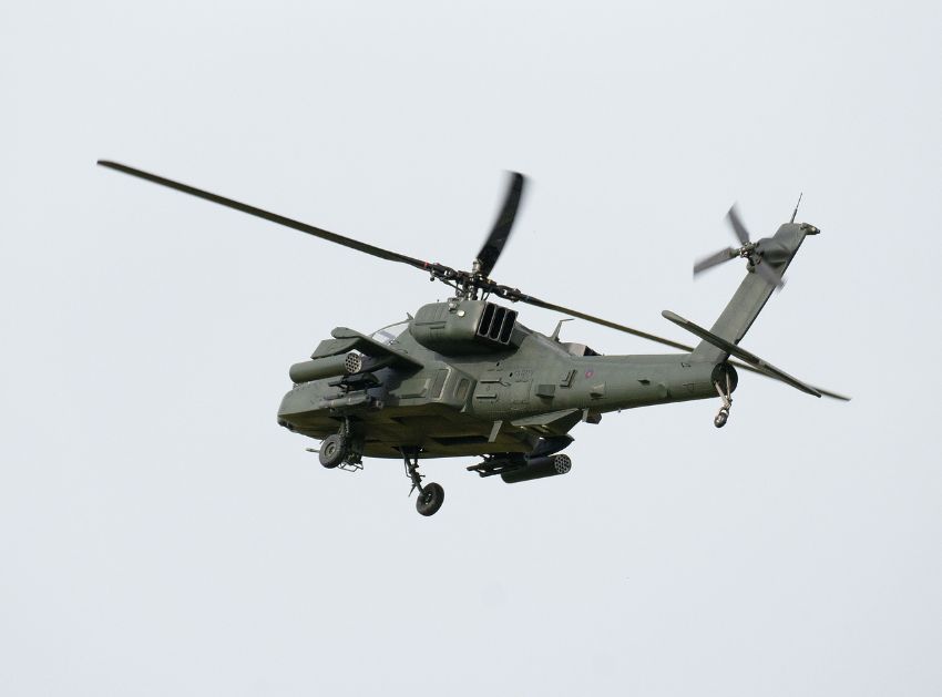 Photo courtesy of Tony L