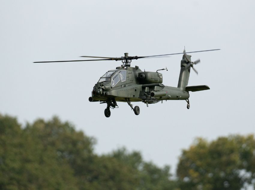 Photo courtesy of Tony L